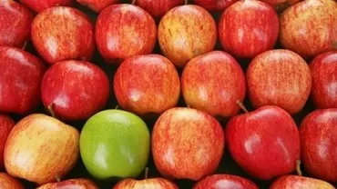 Un groupe de pommes rouges avec une pomme verte au milieu.
