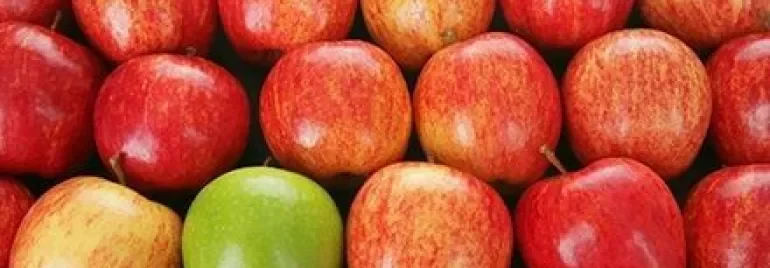Un groupe de pommes rouges avec une pomme verte au milieu.