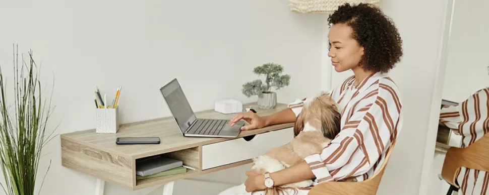 Femme travaillant sur un ordinateur portable avec un chien sur les genoux dans un bureau à domicile.